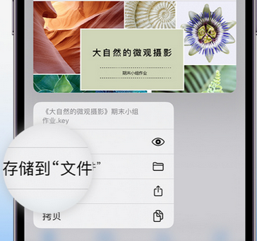 鼓楼apple维修中心分享iPhone文件应用中存储和找到下载文件