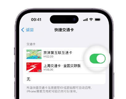 鼓楼apple维修点分享iPhone上更换Apple Pay快捷交通卡手绘卡面 