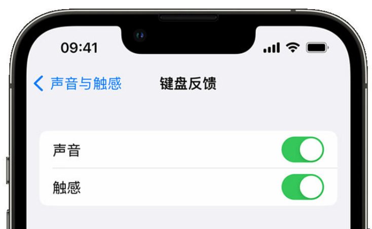 鼓楼苹果手机维修分享iPhone 14触感键盘使用方法 