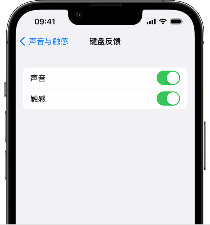 鼓楼苹果14维修店分享如何在 iPhone 14 机型中使用触感键盘 