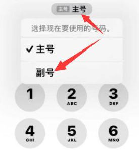 鼓楼苹果14维修店分享iPhone 14 Pro Max使用副卡打电话的方法 